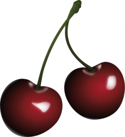 Free Cherry Clipart, 1 page of Public Domain Clip Art