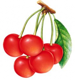 cherries PNG image | SB - CI | Pinterest | Cherries