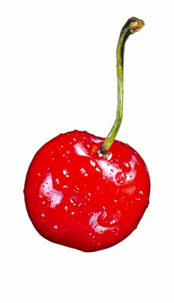 Cherry Free Download Png - Transparent Background Single ...