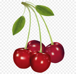 Cherry Fruit Clip art - Cherries PNG Clipart Picture png download ...