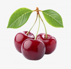 Three Cherries, Cherry, Fruit, Green Leaves PNG Image and Clipart ...