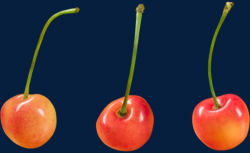 Three Cherries, Three, Cherry, Mature PNG Image and Clipart for Free ...