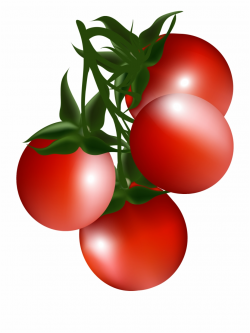 Cherry Tomato Clip Art Cartoon Red Tomatoes Clipart - Clip ...