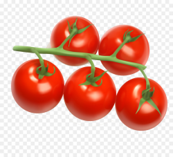 Tomato juice Cherry tomato Clip art - tomato png download - 2480 ...