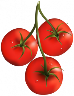 Tomato Branch PNG Clipart | Verduras Hortalizas. Png | Pinterest ...