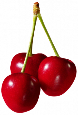 Cherries Fruit PNG Clipart - Best WEB Clipart