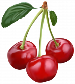 Cherry PNG Transparent Clip Art Image | Gallery Yopriceville - High ...