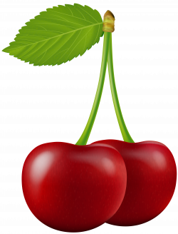Cherry Transparent PNG Clip Art | Gallery Yopriceville - High ...