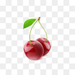 Two Cherries PNG Images | Vectors and PSD Files | Free Download on ...