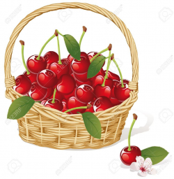 Cherry Basket Royalty Free Cliparts, Vectors, And Stock Illustration ...