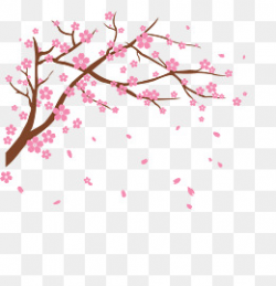 Cherry Blossom Png, Vectors, PSD, and Clipart for Free Download ...