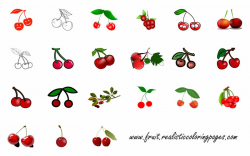 Fruit Fact - Google+