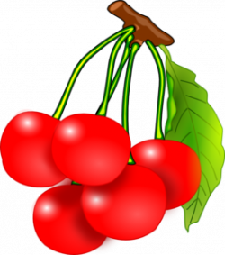 Red Cherries Clip Art at Clker.com - vector clip art online, royalty ...