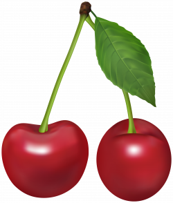 Cherry PNG Clipart Image | Gallery Yopriceville - High ...
