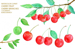 Watercolor Red Cherry Clipart ~ Illustrations ~ Creative Market