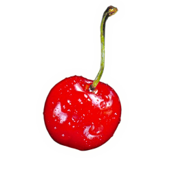 Cherry PNG Transparent Images | PNG All