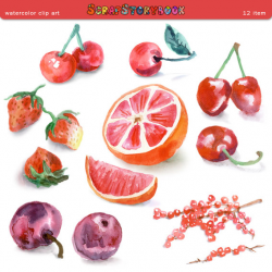 Watercolor Fruit Clip Art digital printable item cherry