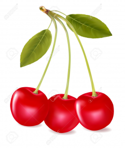 Cherry clipart three - Pencil and in color cherry clipart three