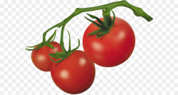 Cherry tomato Roma tomato Clip art - Tomato PNG png download - 3841 ...