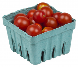 File:Cherry-Tomatoes-in-Pack.jpg - Wikimedia Commons