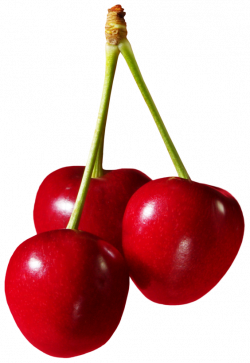 Large Cherries PNG Clipart | Gallery Yopriceville - High-Quality ...