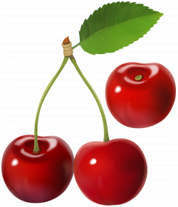 Cherry Transparent Image | Gallery Yopriceville - High-Quality ...