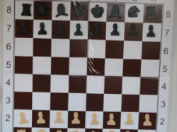 Mumbai Chess Mall – Your Authentic Store For All Chess Needs