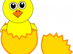 Chick Clipart fluffy - Free Clipart on Dumielauxepices.net