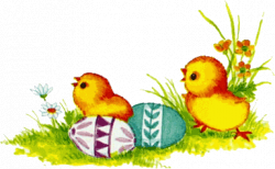 Free Easter Chicks Graphics