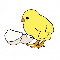 baby chick clip art images cute baby chicken clipart clipart panda ...