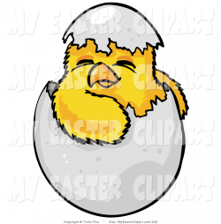 Clip Art of a Cute Baby Yellow Chick Hatchling, Hatching out of a ...