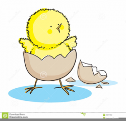 Chick Hatching Clipart | Free Images at Clker.com - vector clip art ...