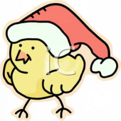 A Christmas Chick Clipart Picture