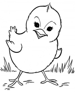 Baby Chick Drawing at GetDrawings.com | Free for personal use Baby ...