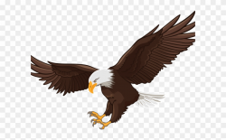 Flight Clipart Clip Art - Clip Art Bald Eagle Png ...