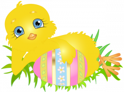 Easter Chick with Egg PNG Clip Art Image | Gallery Yopriceville ...