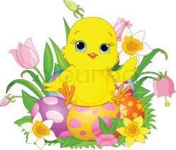 Easter chick illustration of newborn chick sitting on easter eggs ...