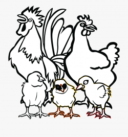 Free Clipart - Chicken Family Drawing #1424093 - Free ...