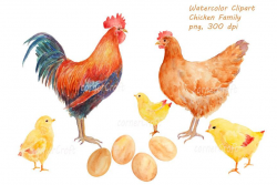 Watercolor clipart - hand drawn Chicken family rooster, hen, chicks ...