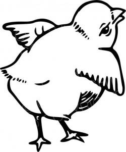 Black & White Line Drawing of a Cute Fluffy Chick Prawny Animal Clip ...
