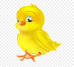 Chicken Clip art - Painted Yellow Easter Chick PNG Clipart Picture ...