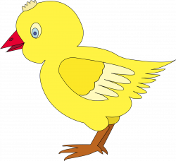 Clipart - chicken-002-figure-color