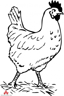 Better Of Chicken Clipart Black And White - Letter Master