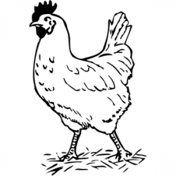 halloween clipart black and white chickens - Google Search | Fall ...
