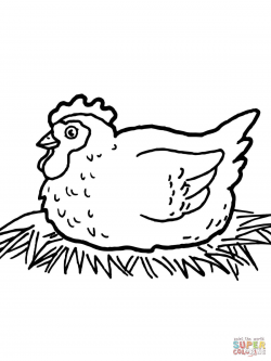 Chicken Coloring Pages Free# 2011796