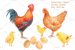 Watercolor Clipart Chicken Family ~ Illustrations ~ Creative Market