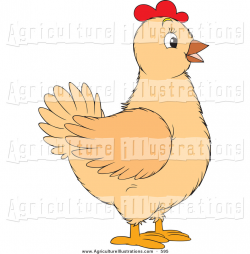 Agriculture Clipart of a Beige Chicken Hen with Red on Her Head ...