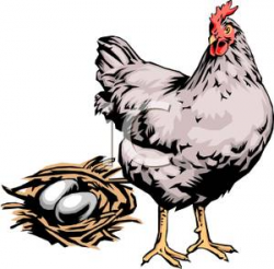 A Chicken and Her Nest - Clipart