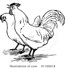 Chicken Clipart #1166018 - Illustration by Prawny Vintage