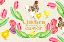 Chicken easter.Watercolor clipart ~ Illustrations ~ Creative Market